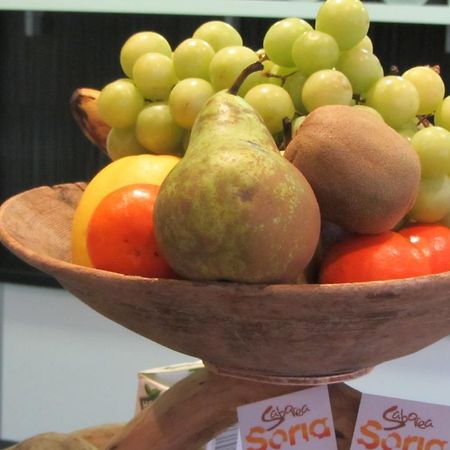 新伊提班蒂加玛 Casa Rural La Prensa De Vino酒店 外观 照片